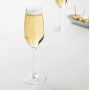 Vasos de cava 22cl